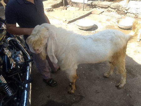 થંબનેલ 3