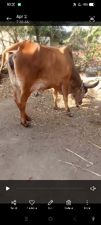 ત્રીજુ વેતર વિહાની સે 1 મહિનો