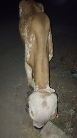 થંબનેલ 3