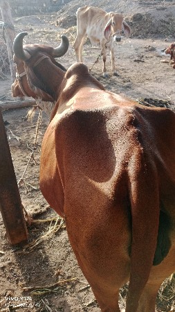 थंबनेल 3