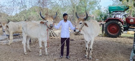 થંબનેલ 3