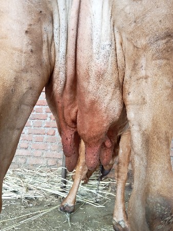 થંબનેલ 2