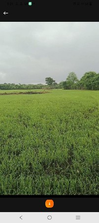 જમીન વેચવા ની સે