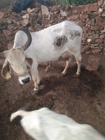 थंबनेल 3