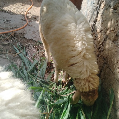 થંબનેલ 3