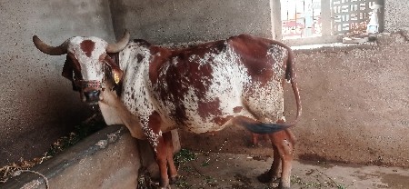 थंबनेल 2