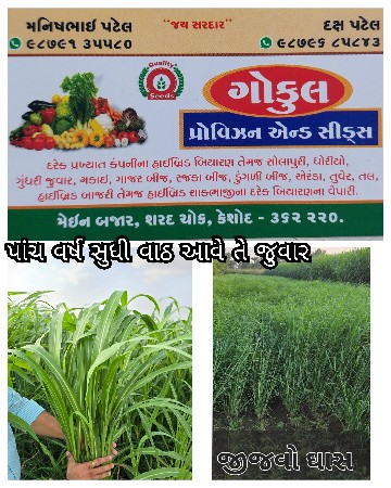 थंबनेल 6