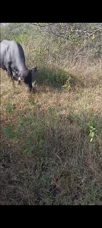 આઠ મહિનાનું ગામ