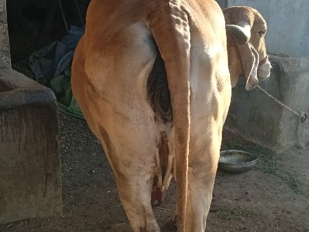 थंबनेल 3