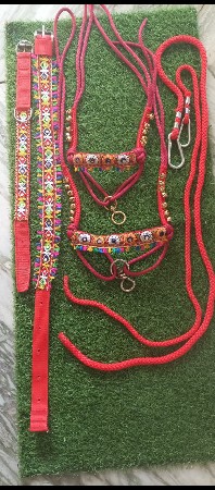 थंबनेल 3