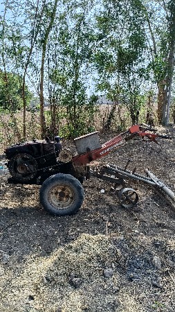 શીંગડા વાળુ ટેકટર