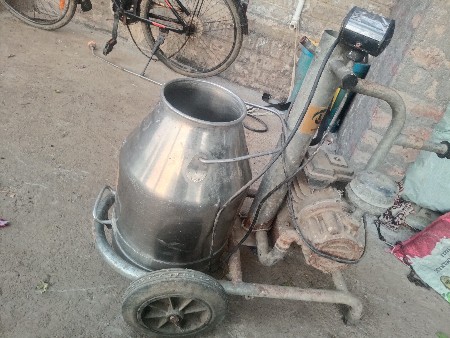 ગાયુ