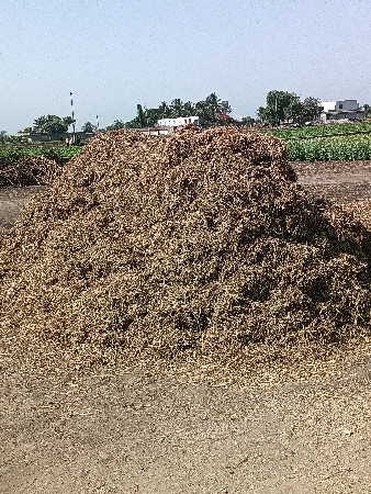 ભૂકો વેચવાનો છે