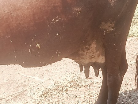 थंबनेल 2