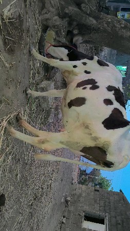 थंबनेल 4