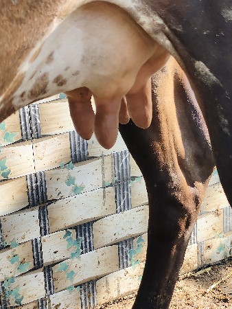 थंबनेल 2