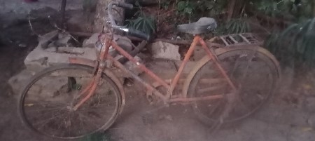 સાયકલ લેસિજ