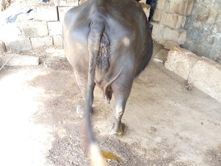 थंबनेल 3