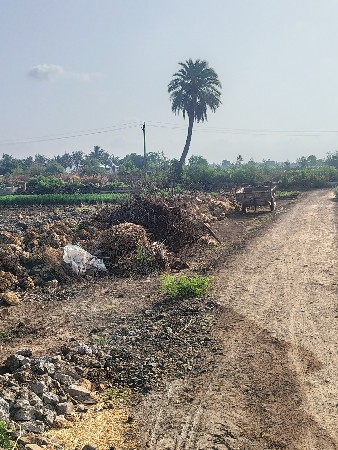 થંબનેલ 3