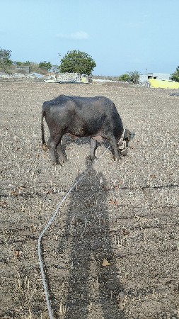 थंबनेल 2