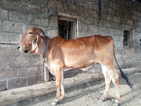 थंबनेल 3