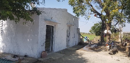 19 વિઘા વાડી વેચવાની છે, ભાયાવદર