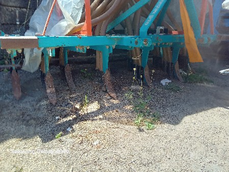 થંબનેલ 2