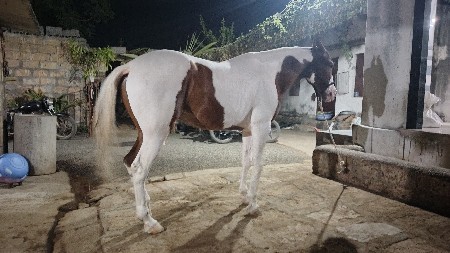 થંબનેલ 3