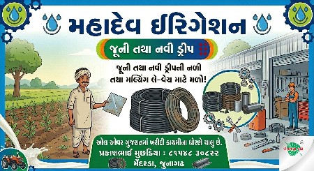 ટપક  દેવા માટે મળો