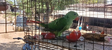 थंबनेल 3