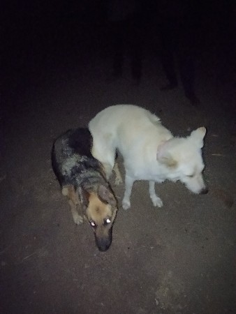 थंबनेल 2