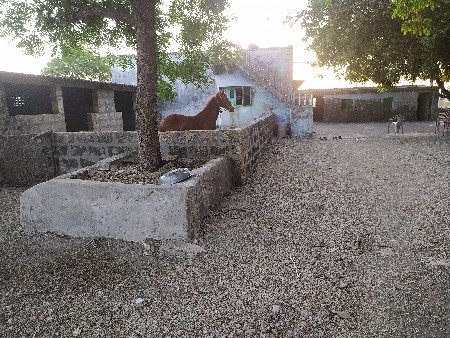 vasairi Vaswani Porbandar
