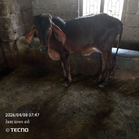 थंबनेल 3