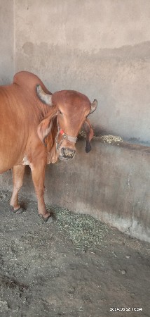 थंबनेल 2