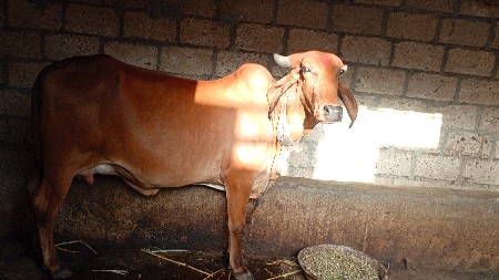 વેચવાની છે.