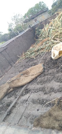 ટોલી વેચવાની છે