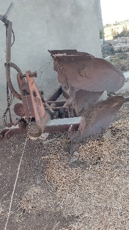 પલ્ટી ફાંગા વેસવાના છે