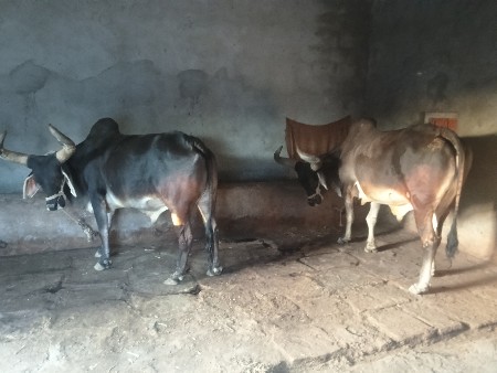 थंबनेल 3