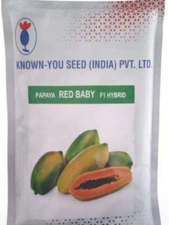 પપૈયા રેડ બેબી ના પ્લાન્ટ મળશે