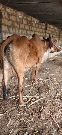 थंबनेल 3