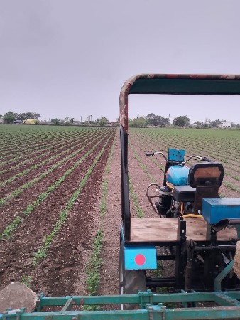 સનેડો વેચવાનો છે