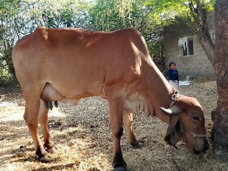 थंबनेल 3