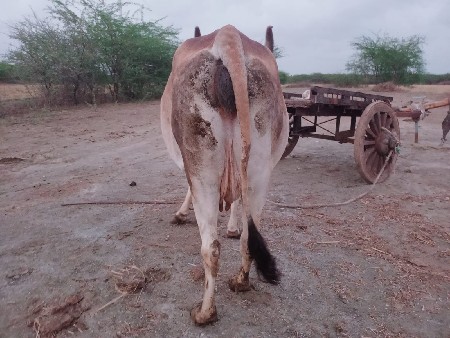 थंबनेल 3