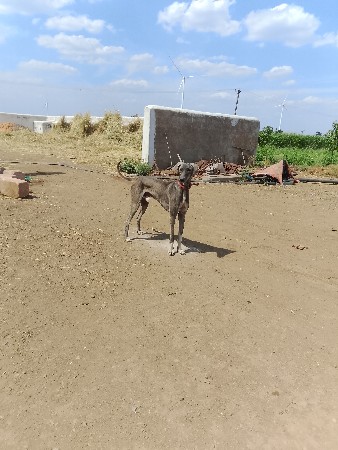 थंबनेल 2