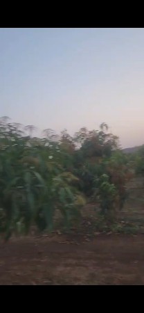 હાઇવે ટચ   6 લાખ 50 હજાર