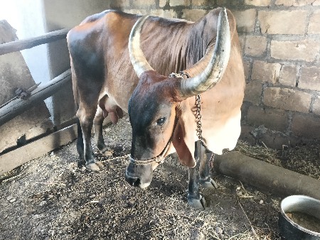 थंबनेल 2