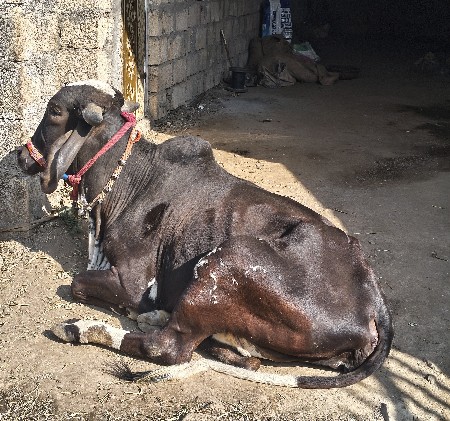 थंबनेल 3