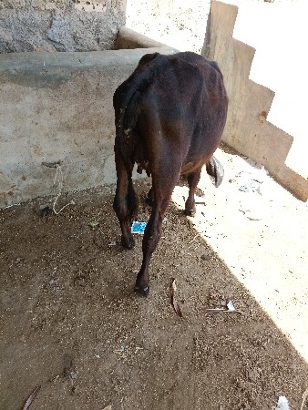 थंबनेल 3