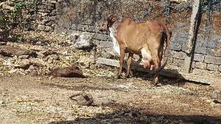 થંબનેલ 2