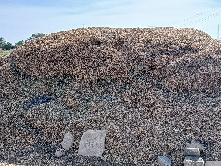 ભુકો વેચવાનો છે